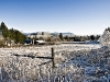 2009jan23_6361