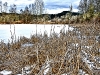 2009jan24_6466